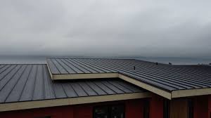 Best Steel Roofing  in Maria Stein, OH